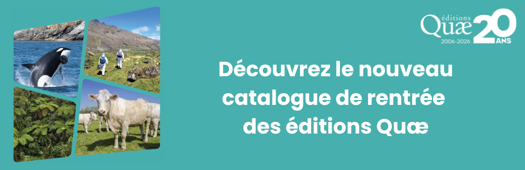 Bannière pour le catalogue nouveautés 2026-2027