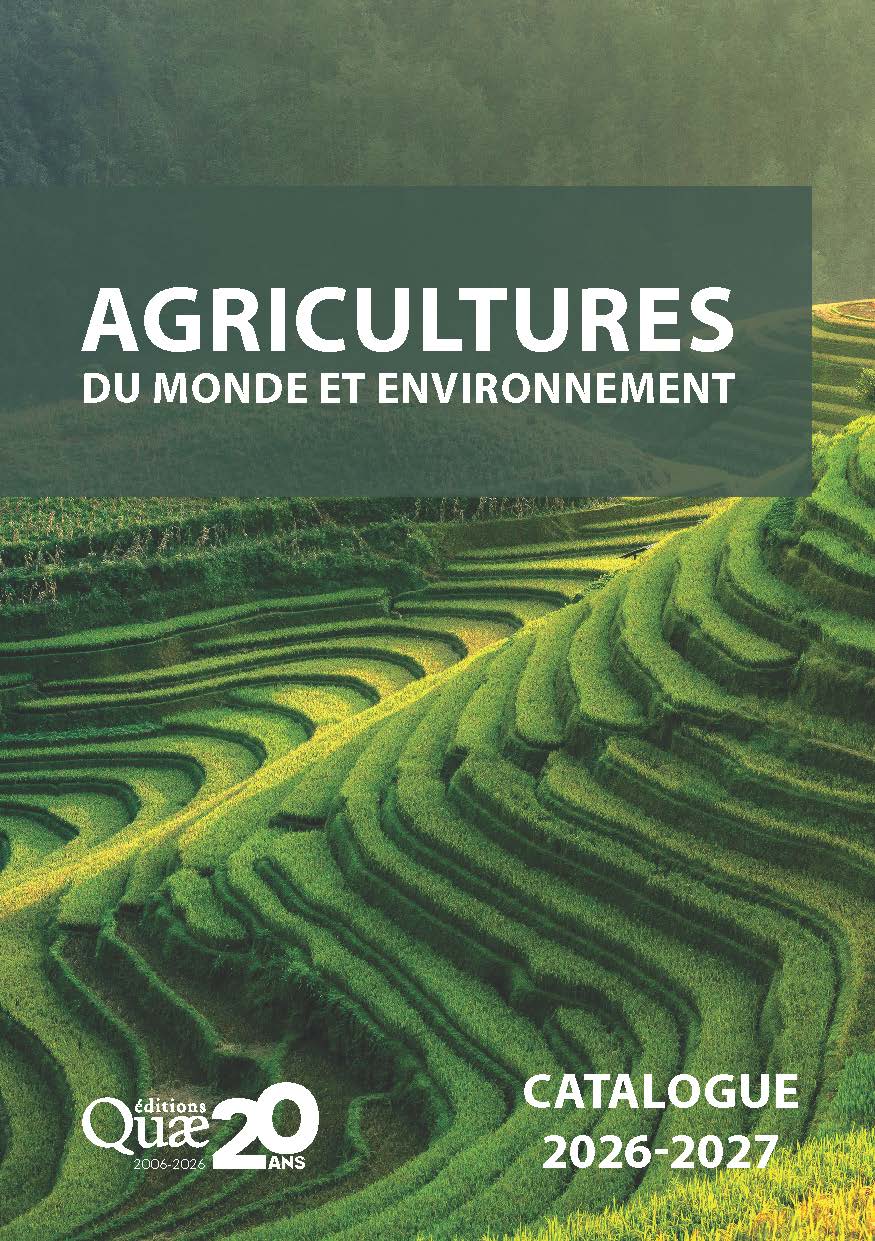 Couverture du catalogue, paysage de rizière