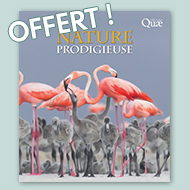 Un livre inédit offert !