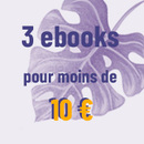 Lectures d'été : 3 ebooks pour moins de 10 euros ! 