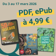 Offre numérique de mars 2026 : PDF et ePub à petit prix !
