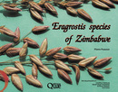 Eragrostis species of zimbabwe - Pierre Poilecot - Éditions Quae