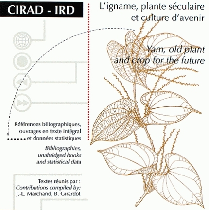 L'igname, plante séculaire et culture d'avenir/Yam, Old Plant and Crop for the Future -  - Cirad