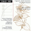 L'igname, plante séculaire et culture d'avenir/Yam, Old Plant and Crop for the Future -  - Cirad