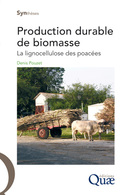 Production durable de biomasse - Denis Pouzet - Éditions Quae
