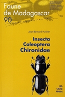 Insecta coleoptera chironidae - Jean-Bernard Huchet - Cirad
