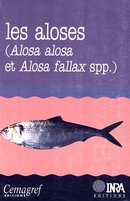 Les aloses (Alosa alosa et Alosa fallax spp.) -  - Inra