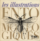 Les illustrations entomologiques - Rémi Coutin, Alain Fraval, Jacques D'Aguilar, Robert Guilbot, Claire Villemant - Inra