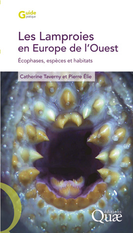 Les Lamproies En Europe De L Ouest Ecophases Especes Et Habitats Pierre Elie Catherine Taverny Ean13 9782759213474 Librairie Quae Des Livres Au Coeur Des Sciences