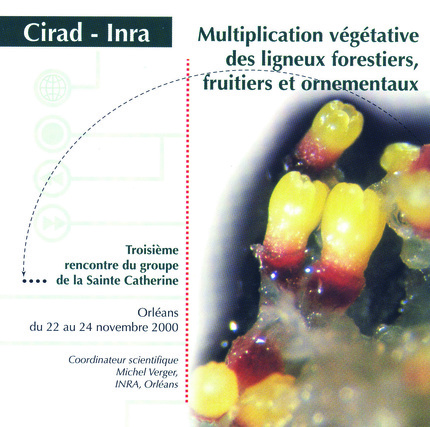 Vegetative Propagation of Forest, Fruit and Ornamental Tree Species -  - Cirad
