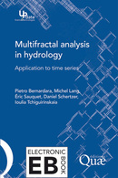 Multifractal analysis in hydrology - Ioulia Tchiriguyskaia, Daniel Schertzer, Eric Sauquet, Pietro Bernardara, Michel Lang - Éditions Quae