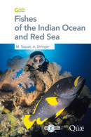 Fishes of the Indian Ocean and Red Sea - Marc Taquet, Alain Diringer - Éditions Quae