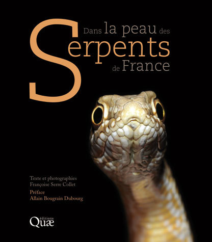 Dans la peau des serpents de France - Françoise Serre Collet - Éditions Quae