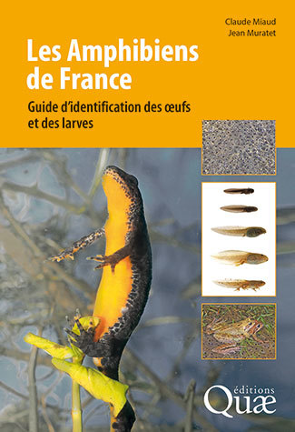 Les amphibiens de France - Claude Miaud, Jean Muratet - Éditions Quae