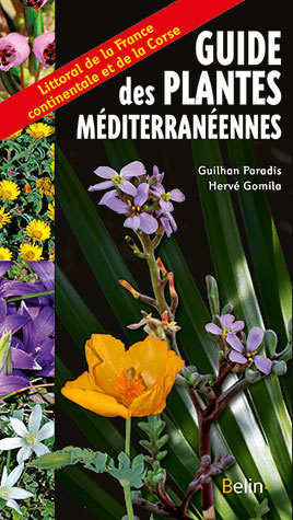 Guide des plantes méditerranéennes - Guilhan Paradis, Hervé Gomila - Belin