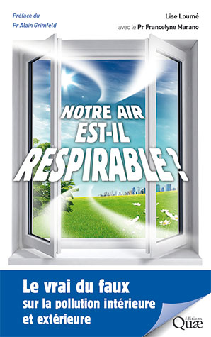 Notre air est-il respirable ? - Le vrai du faux sur la pollution ...
