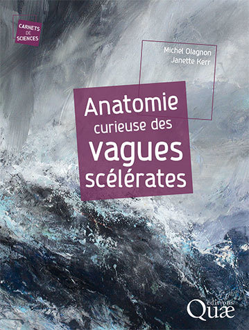 Anatomie curieuse des vagues scélérates - Michel Olagnon, Janette Kerr - Éditions Quae