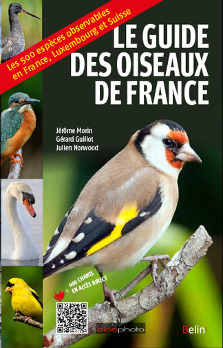 Le guide des oiseaux de France - Jérôme Morin, Gérard Guillot, Julien Norwood - Belin