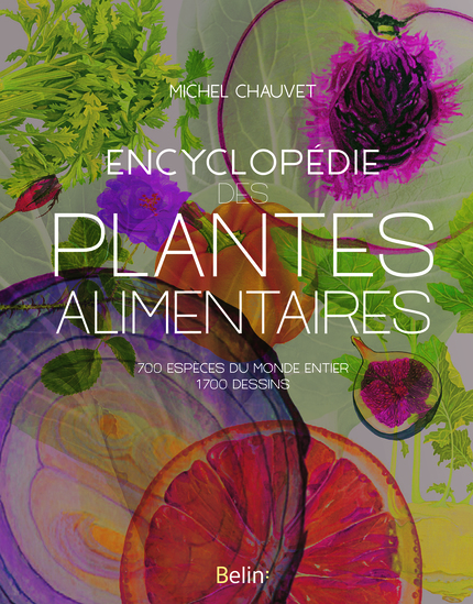Encyclopédie des plantes alimentaires - Michel Chauvet - Belin