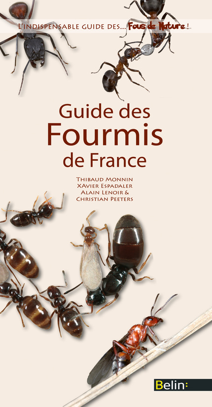 Guide des fourmis de France - Thibaud  Monnin, Christian  Peeters, Xavier  Espadaler, Alain  Lenoir - Belin