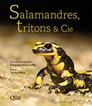 Salamandres, tritons & cie - Françoise Serre Collet - Éditions Quae