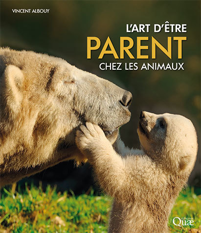 L'art d'être parent chez les animaux - Vincent Albouy - Éditions Quae