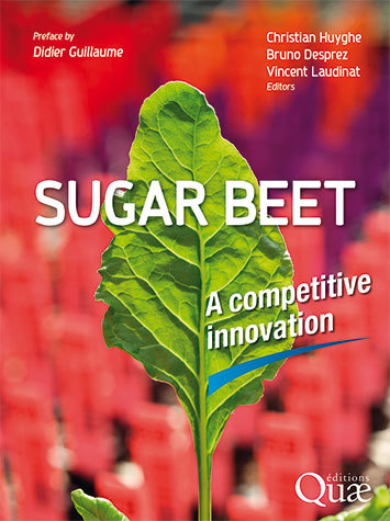 Sugar beet -  - Éditions Quae