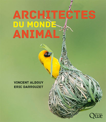 Architectes du monde animal - Vincent Albouy, Eric Darrouzet - Éditions Quae