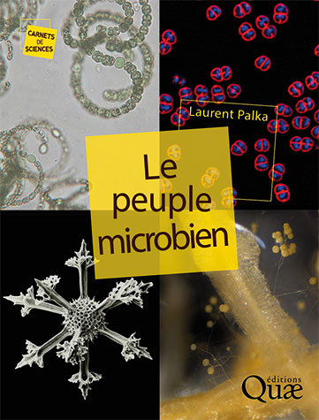 The microbial community - Laurent Palka - Éditions Quae