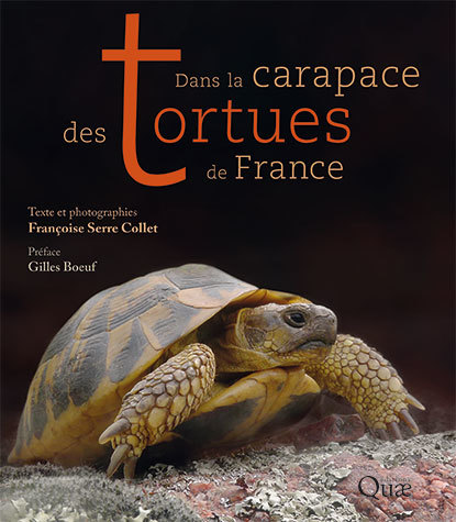 Dans la carapace des tortues de France - Françoise Serre Collet - Éditions Quae