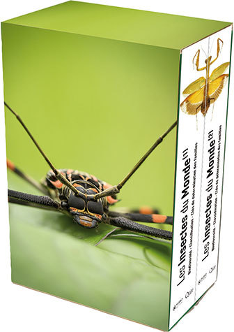 Les insectes du monde -  - Éditions Quae