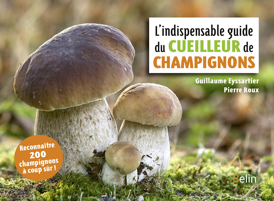 L'indispensable guide du cueilleur de champignons - - Guillaume Eyssartier,  Pierre Roux (EAN13 : 9782759228515)