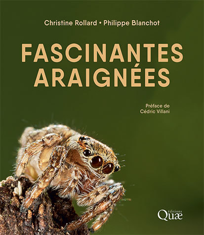 Fascinating spiders - Christine Rollard, Philippe Blanchot - Éditions Quae