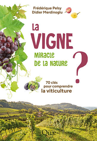 La vigne, miracle de la nature ? - Frédérique Pelsy, Didier Merdinoglu - Éditions Quae