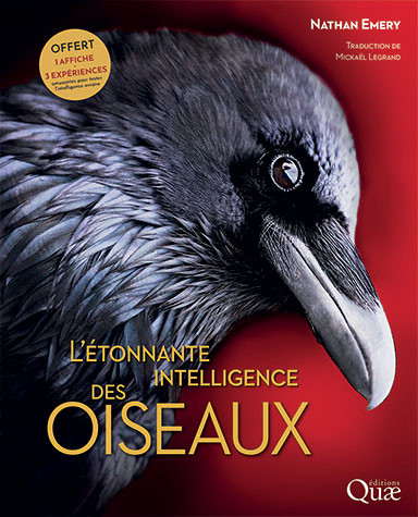 L'étonnante intelligence des oiseaux - Nathan Emery - Éditions Quae