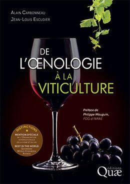 From winemaking to viticulture