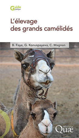 L'élevage des grands camélidés - Bernard Faye, Gaukhar Konuspayeva, Cécile Magnan - Éditions Quae