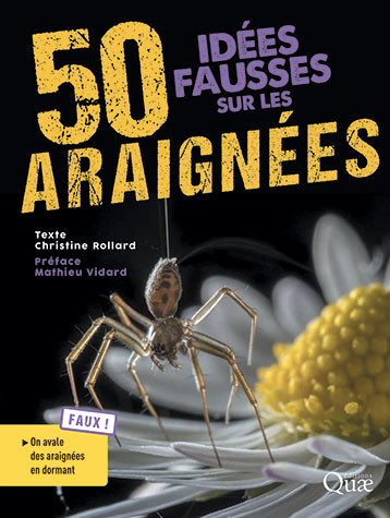 50 misconceptions about spiders - Christine Rollard - Éditions Quae
