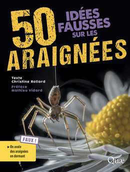 50 idées fausses sur les araignées - Christine Rollard - Éditions Quae
