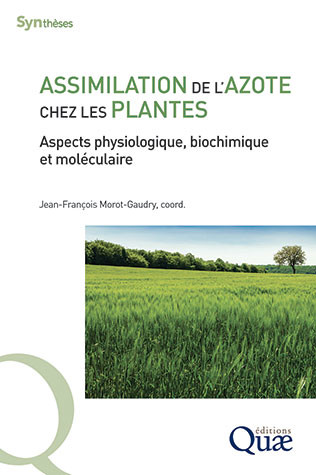 Assimilation de l'azote chez les plantes -  - Éditions Quae