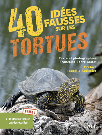 40 misconceptions about turtles - Françoise Serre Collet - Éditions Quae