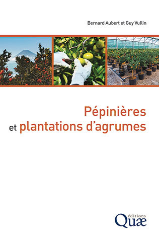 Pépinières et plantations d’agrumes - Bernard Aubert, Guy Vullin - Éditions Quae