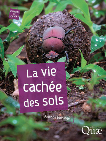 La vie cachée des sols - Philippe Hinsinger - Éditions Quae
